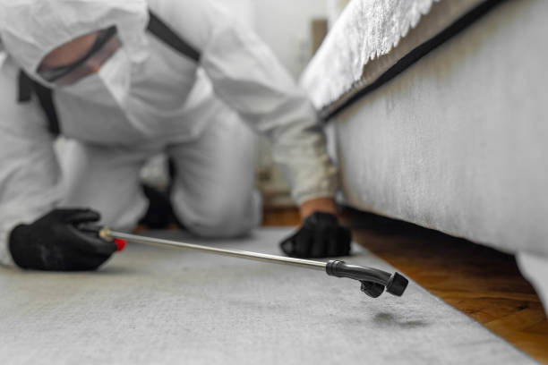 Professional Bed Bug Control technician working in Bluefield, VA