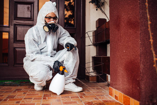 Reliable Bed Bug Control contractor in Bluefield, VA by Nex Pest Control